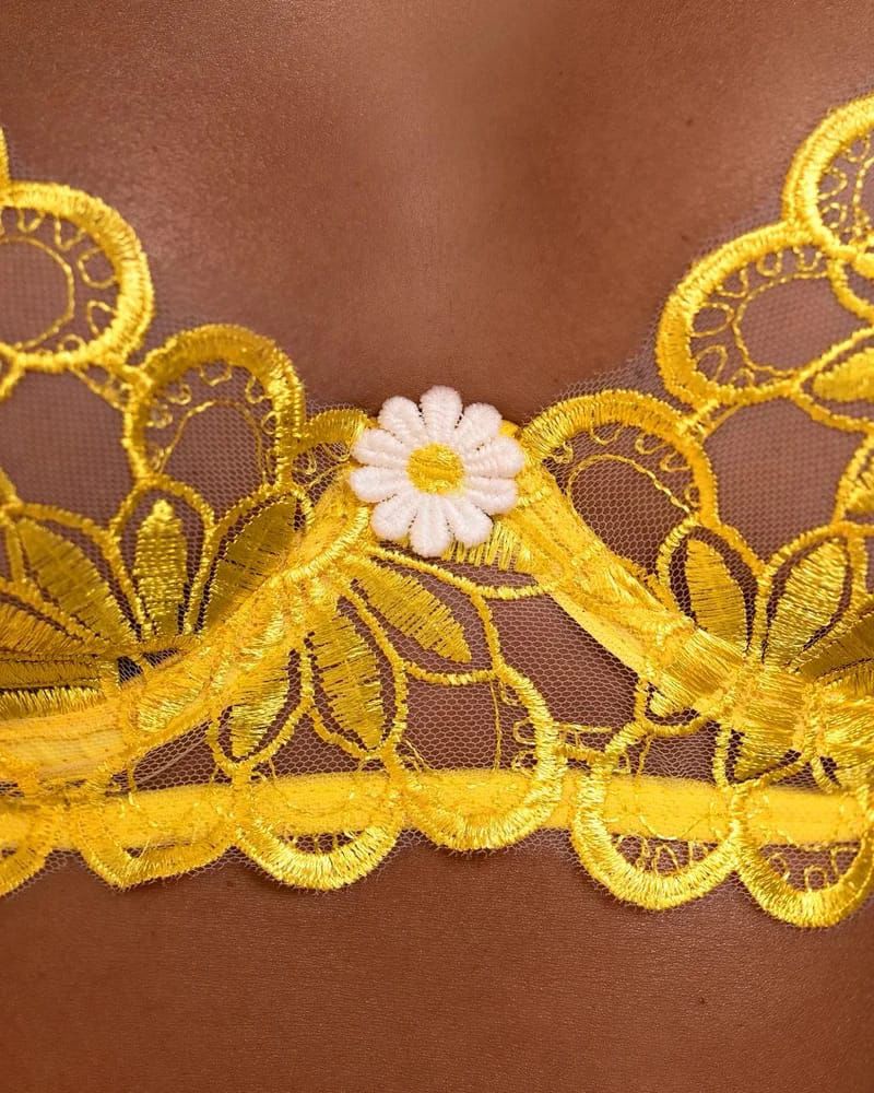 Conjunto Línea Aura